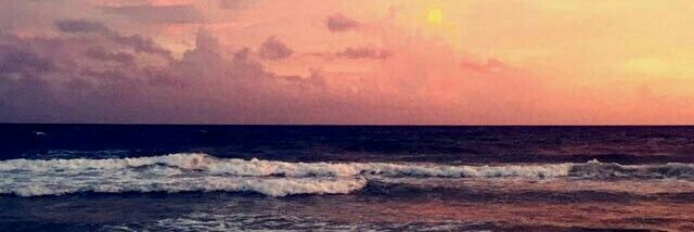 cottunbud's profile banner image