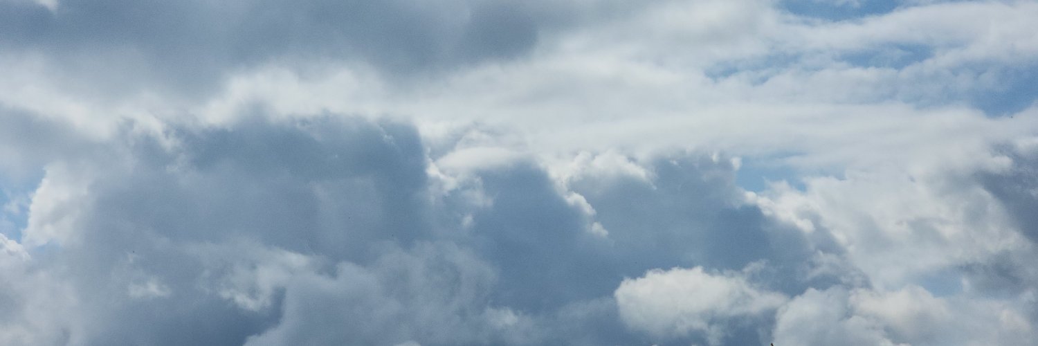 Loren Tedford banner