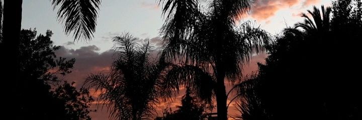 Pek4_'s profile banner image