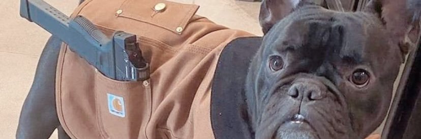 Wall Street Pete banner