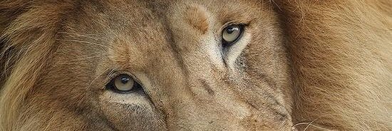 J_Carlous's profile banner image