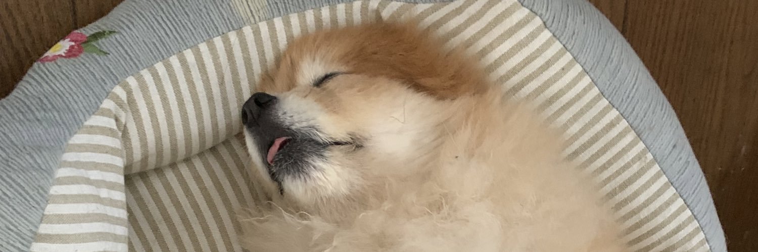 ssssmtmt's profile banner image