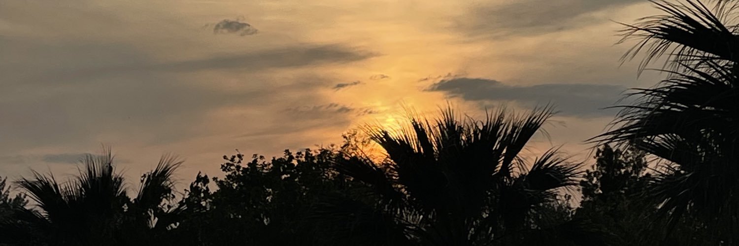 Osé Rêver, d'avoir été Fou... banner
