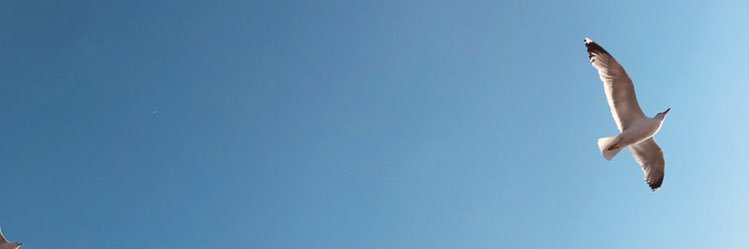 BuseeDoo's profile banner image