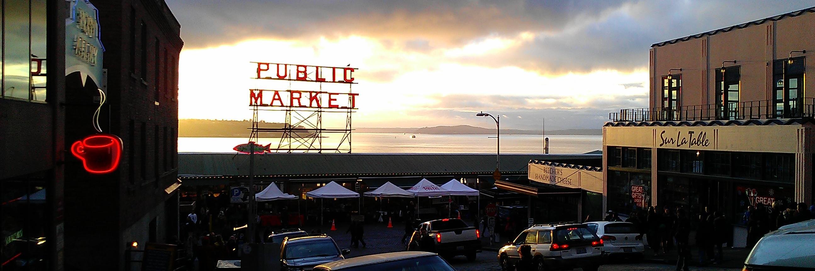 Rose | just a little lab rat she/her banner