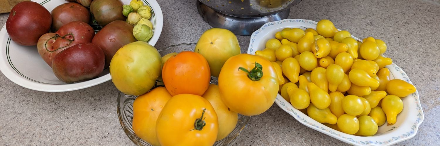 Alison McCrady banner