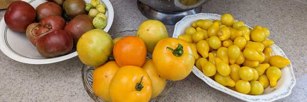 RecycleGrrl Profile Banner