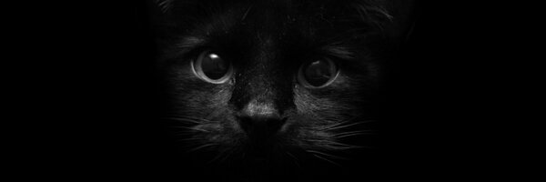 eknkc Profile Banner