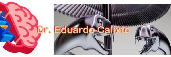 ecalixto Profile Banner