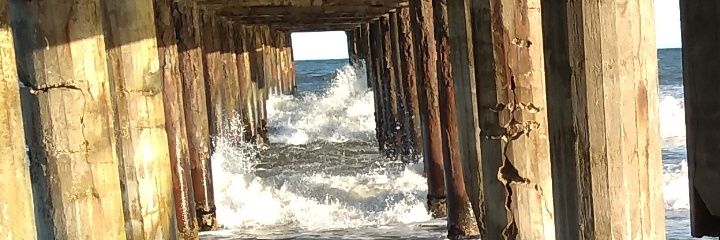 NelsonOlivera3's profile banner image