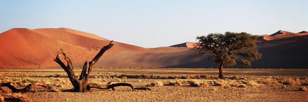 cristinapasin Profile Banner