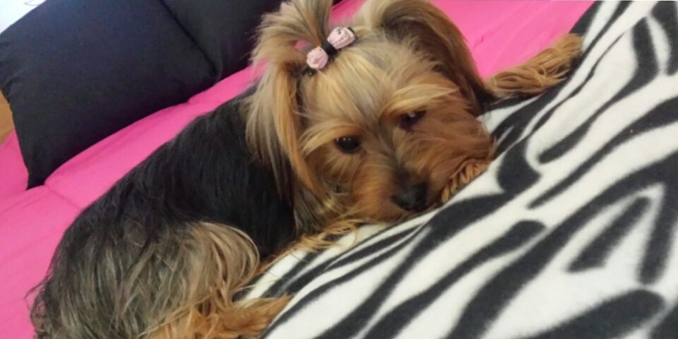 Alii_cm's profile banner image