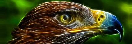 SteveCurram's profile banner image