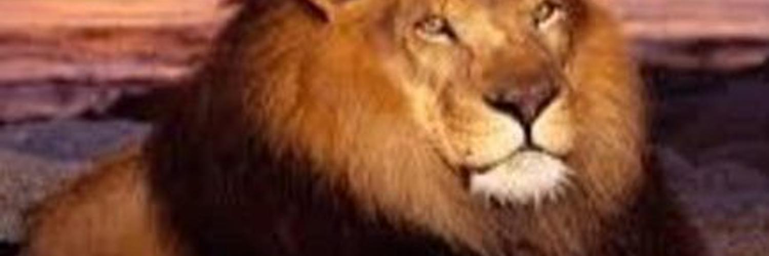 Bil9e's profile banner image