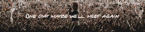 AskingMS's profile banner image
