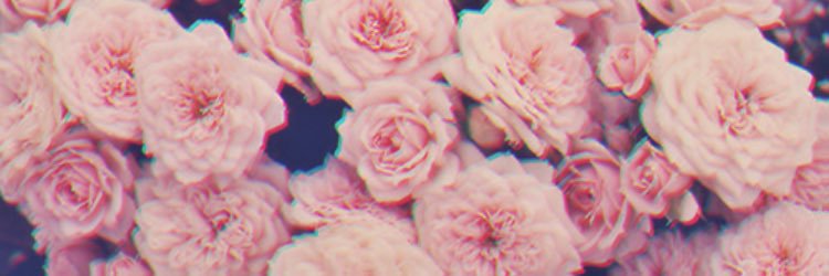 ohwinslet's profile banner image