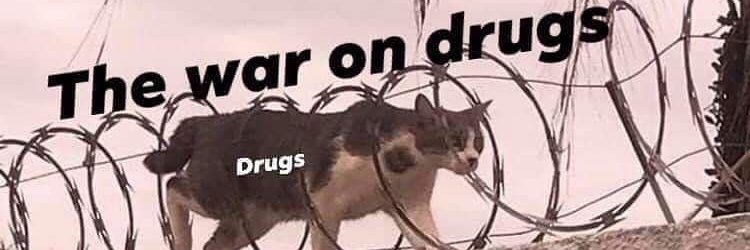 🦖 🛢️🌎🔥🌅 banner