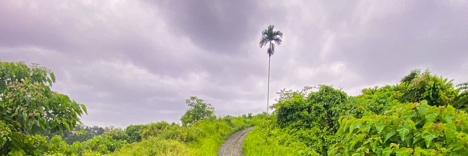 si_ojaan's profile banner image