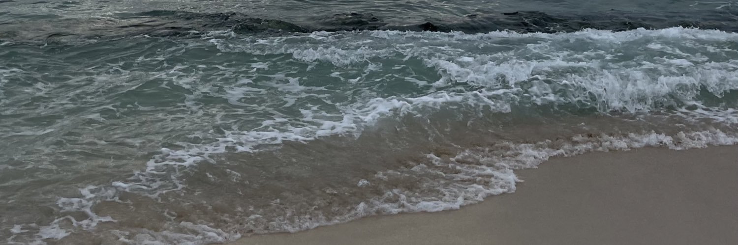 adorexinso's profile banner image