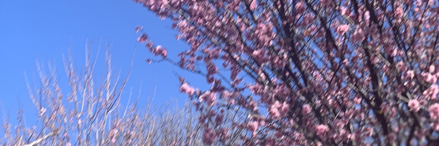donnaborg78's profile banner image