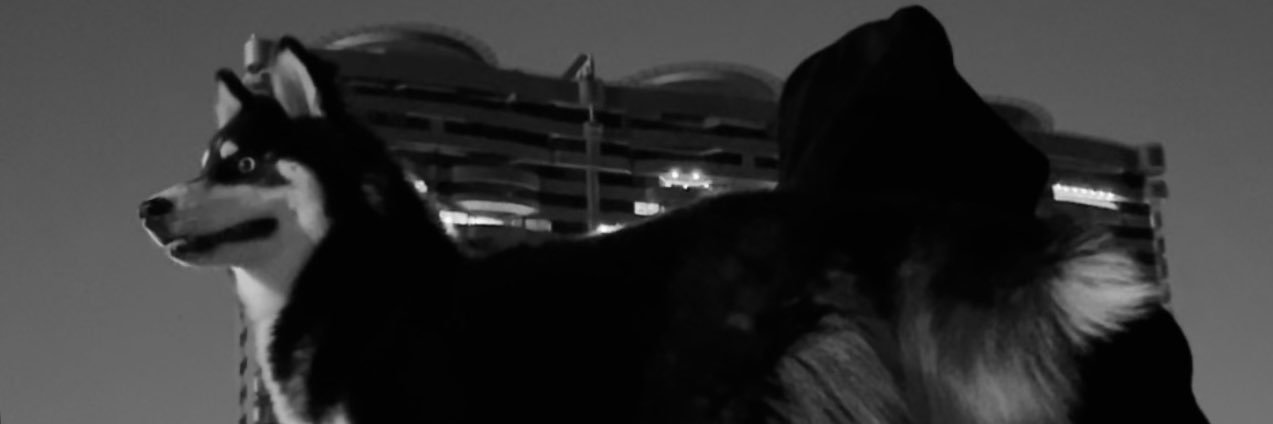 6ayoooor's profile banner image