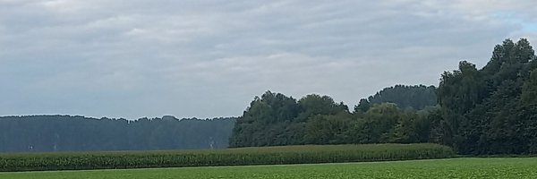 FRISEEMYRIAM Profile Banner