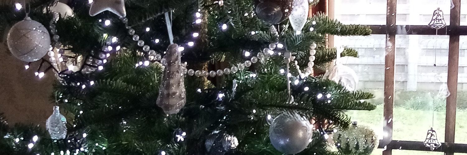 FRISEE MYRIAM banner