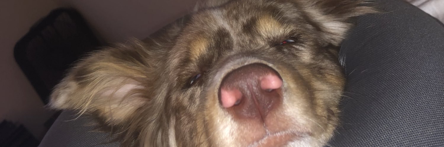 darrellfreeman7's profile banner image
