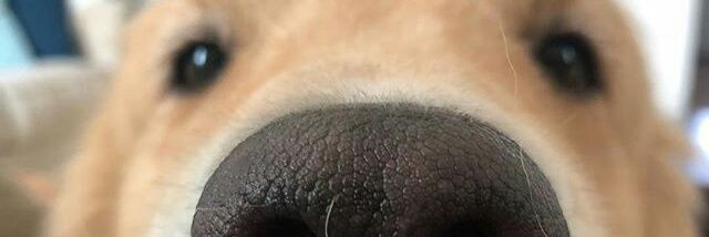 xznixc's profile banner image