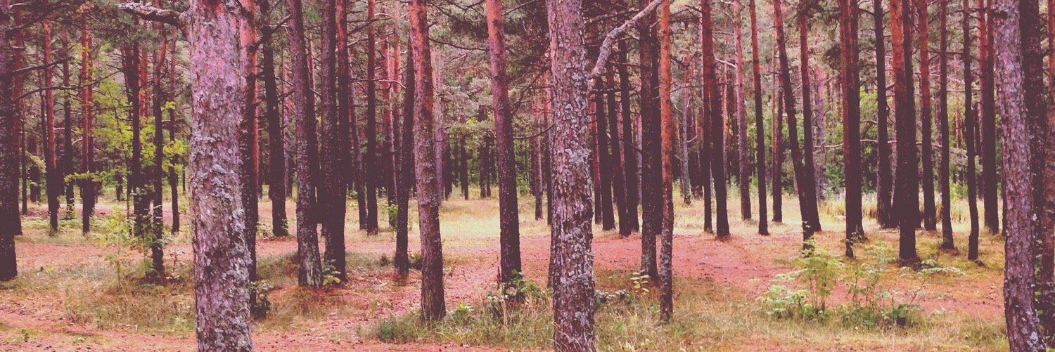 aglarriba's profile banner image