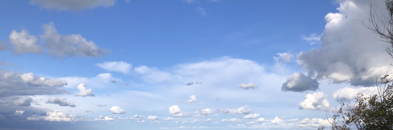 ATinchini's profile banner image