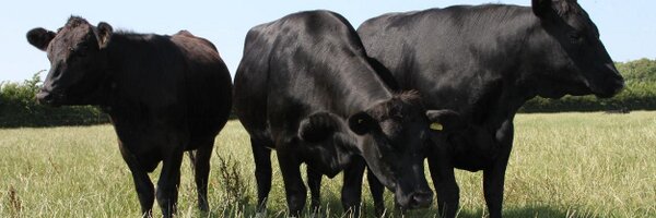 UdderFarmShop Profile Banner