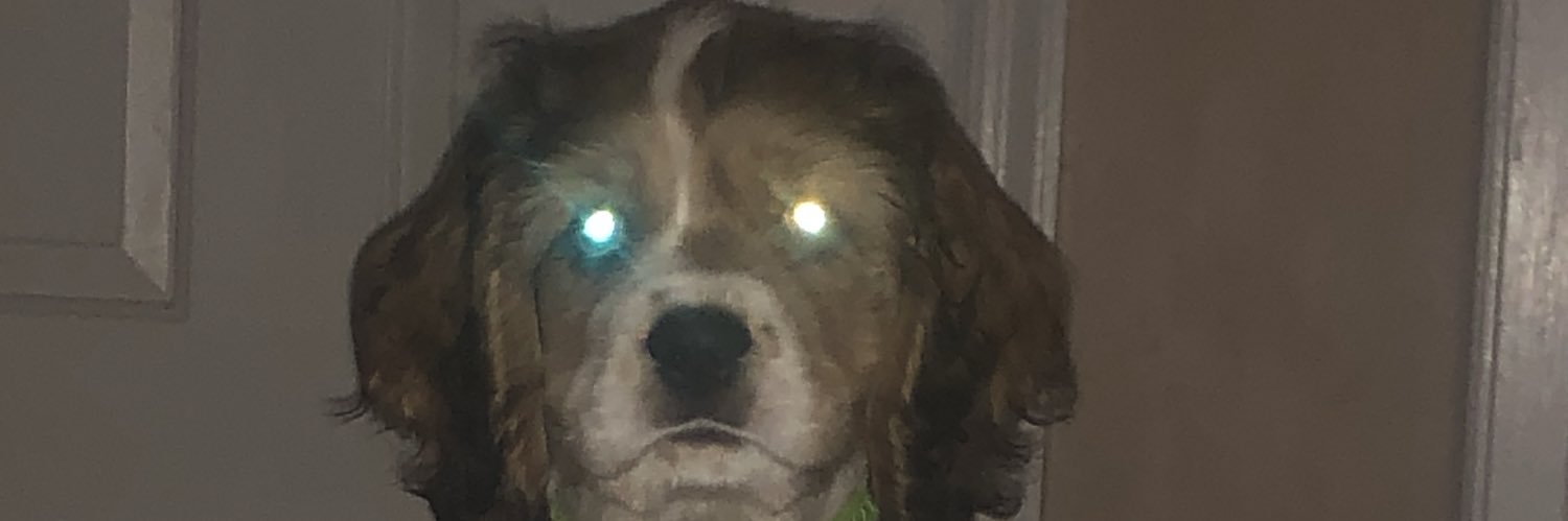 nickvas_'s profile banner image