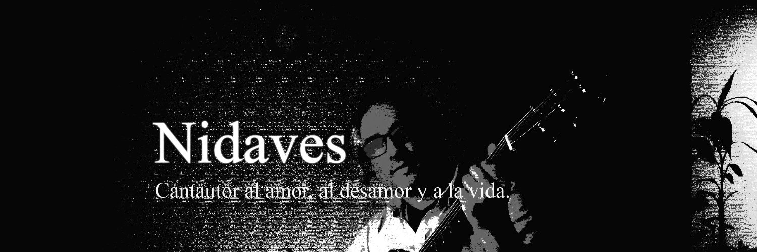 nidaves's profile banner image