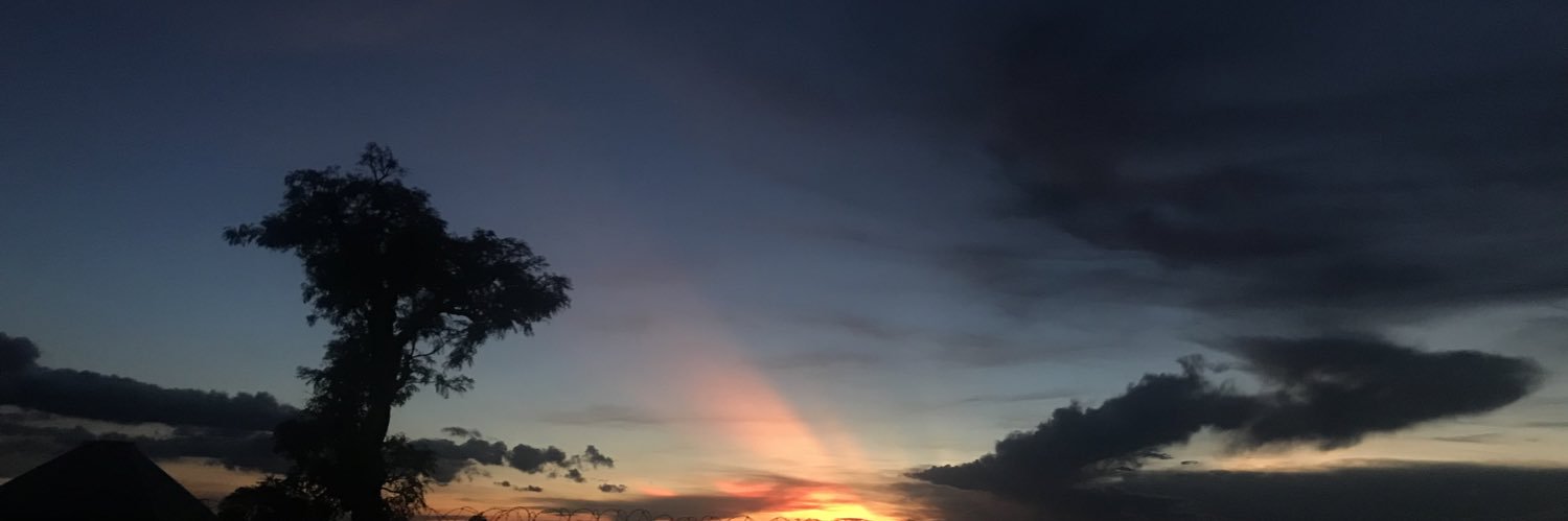 DolphinEyezz's profile banner image