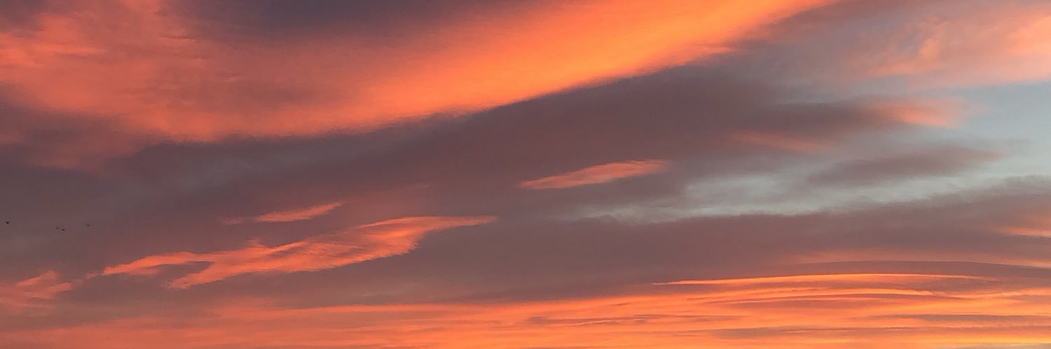 AnaMarti99's profile banner image