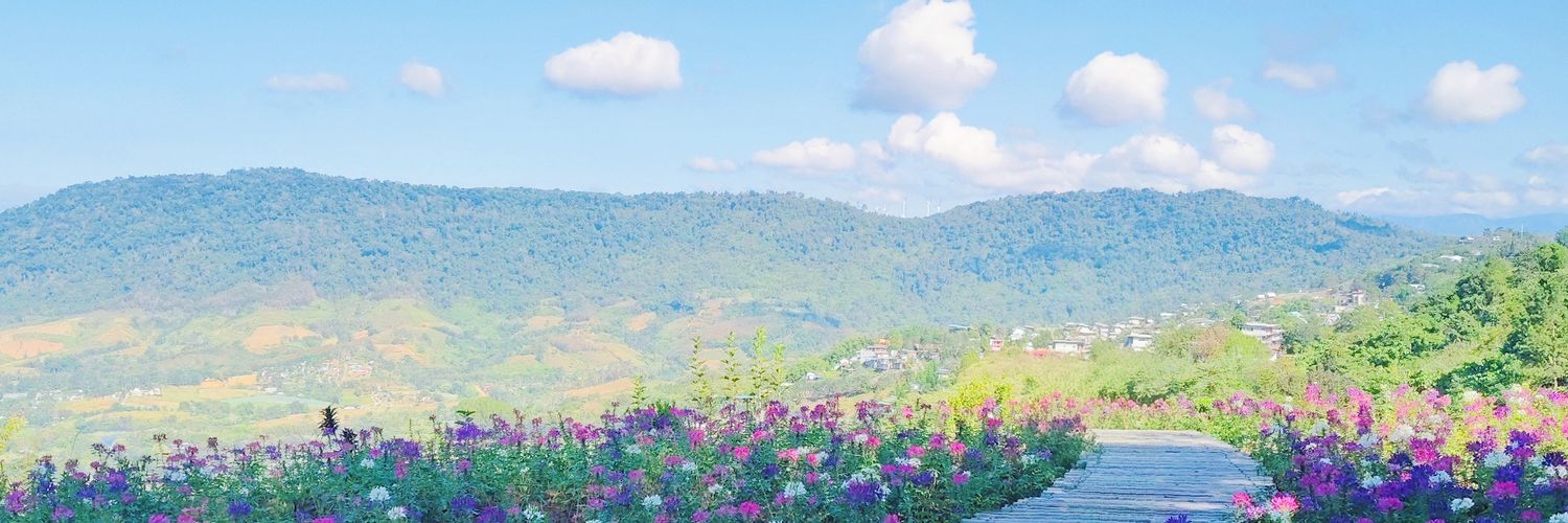 Liliz1599's profile banner image