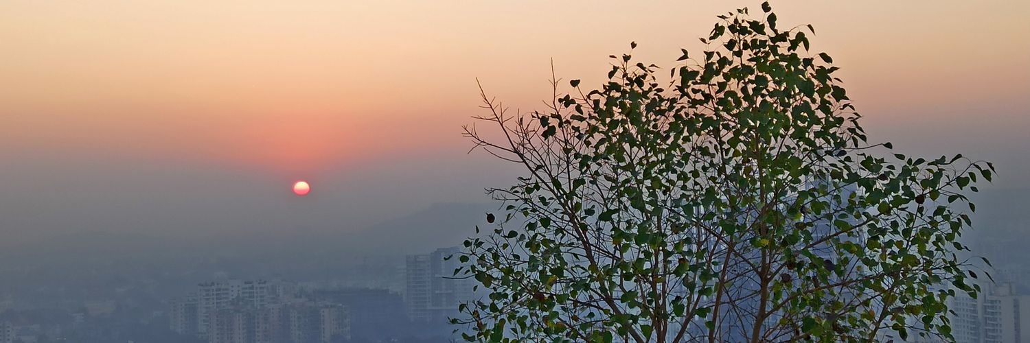 DivyeshLappawal's profile banner image