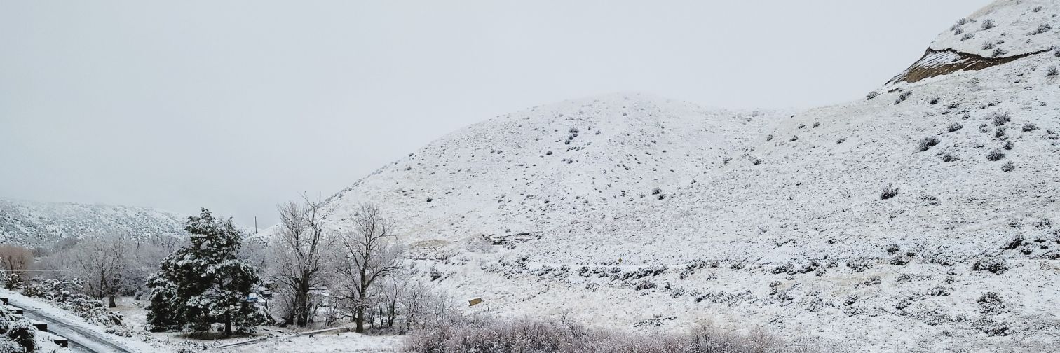 tkangie's profile banner image