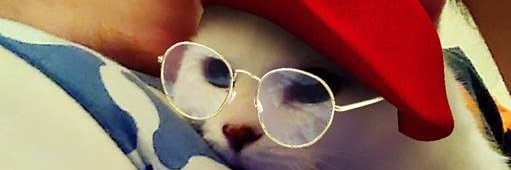 Colin Schultz | @colinschultz.bsky.social banner