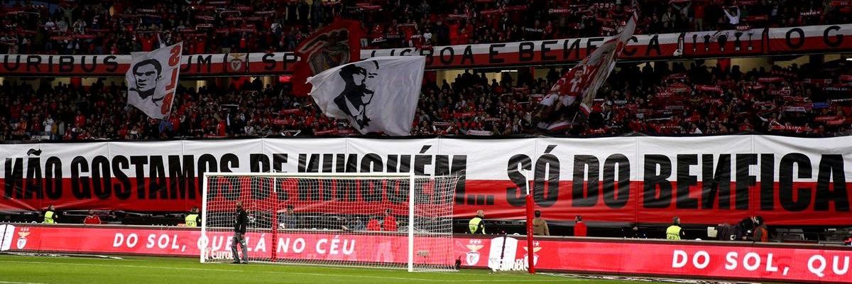 𝘙𝘪𝘤𝘢𝘳𝘥𝘰 𝘙𝘢𝘮𝘰𝘴 banner