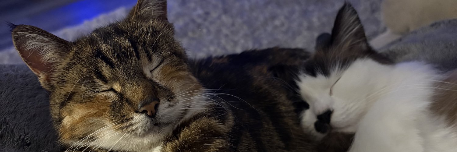 zoekeate's profile banner image