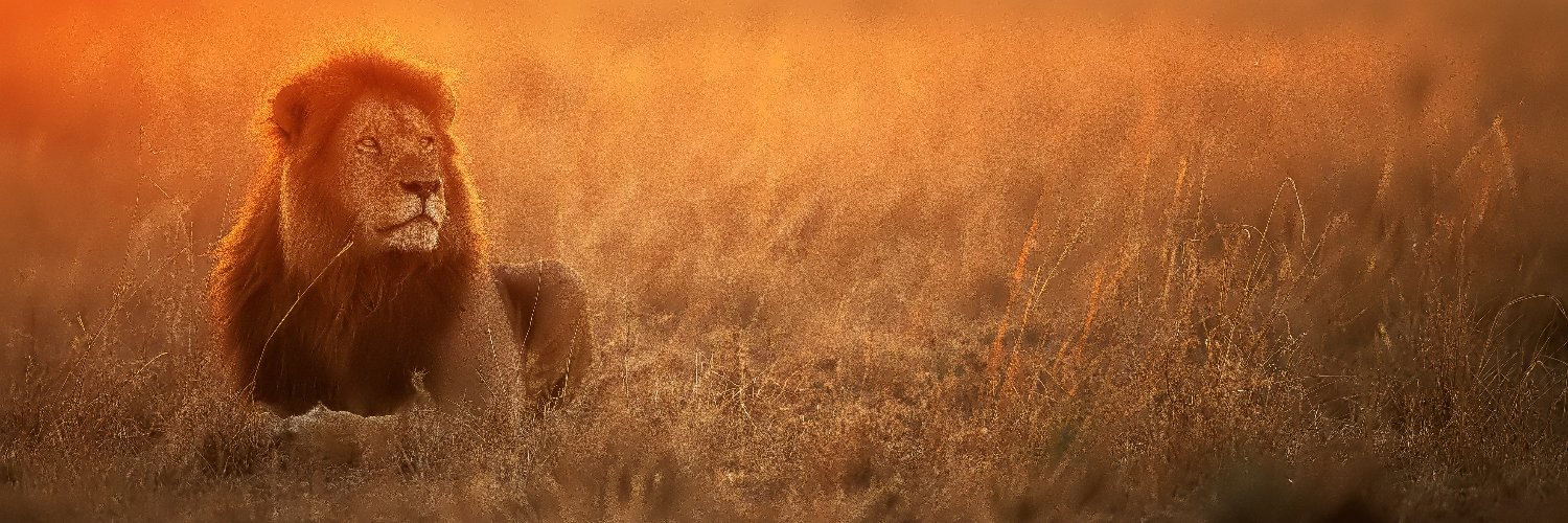 cngz24's profile banner image