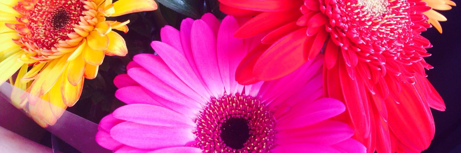 AndreaGc00's profile banner image