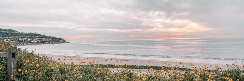 JamiePruden11's profile banner image