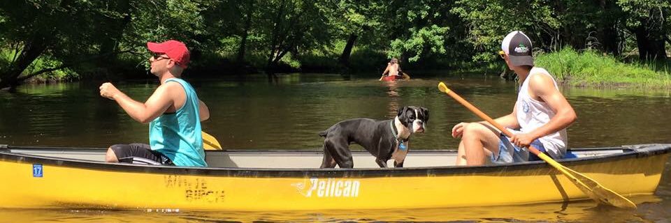 Zakattack66's profile banner image
