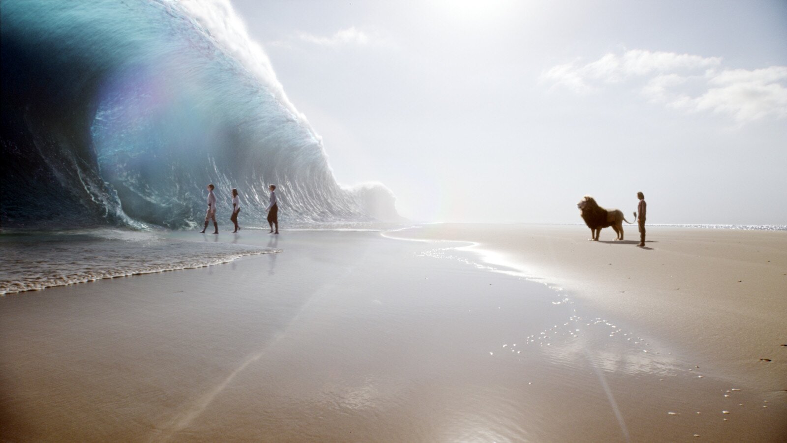 NarniaFansID's profile banner image