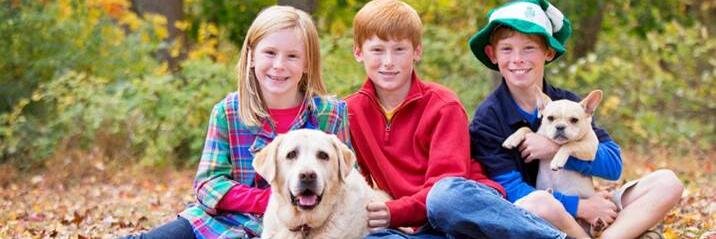 BrMcCormick17's profile banner image