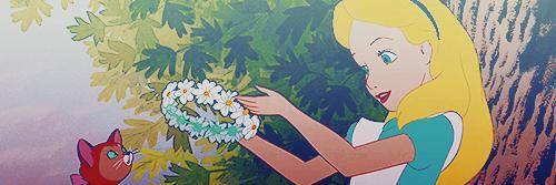 mafnds's profile banner image