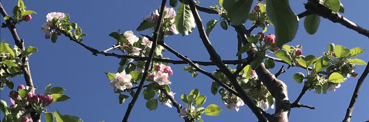 Kayleigh Edun banner